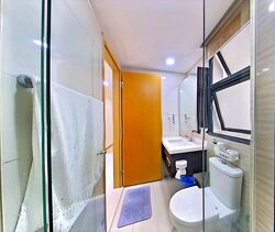 Blossom Residences (D23), Condominium #577117821